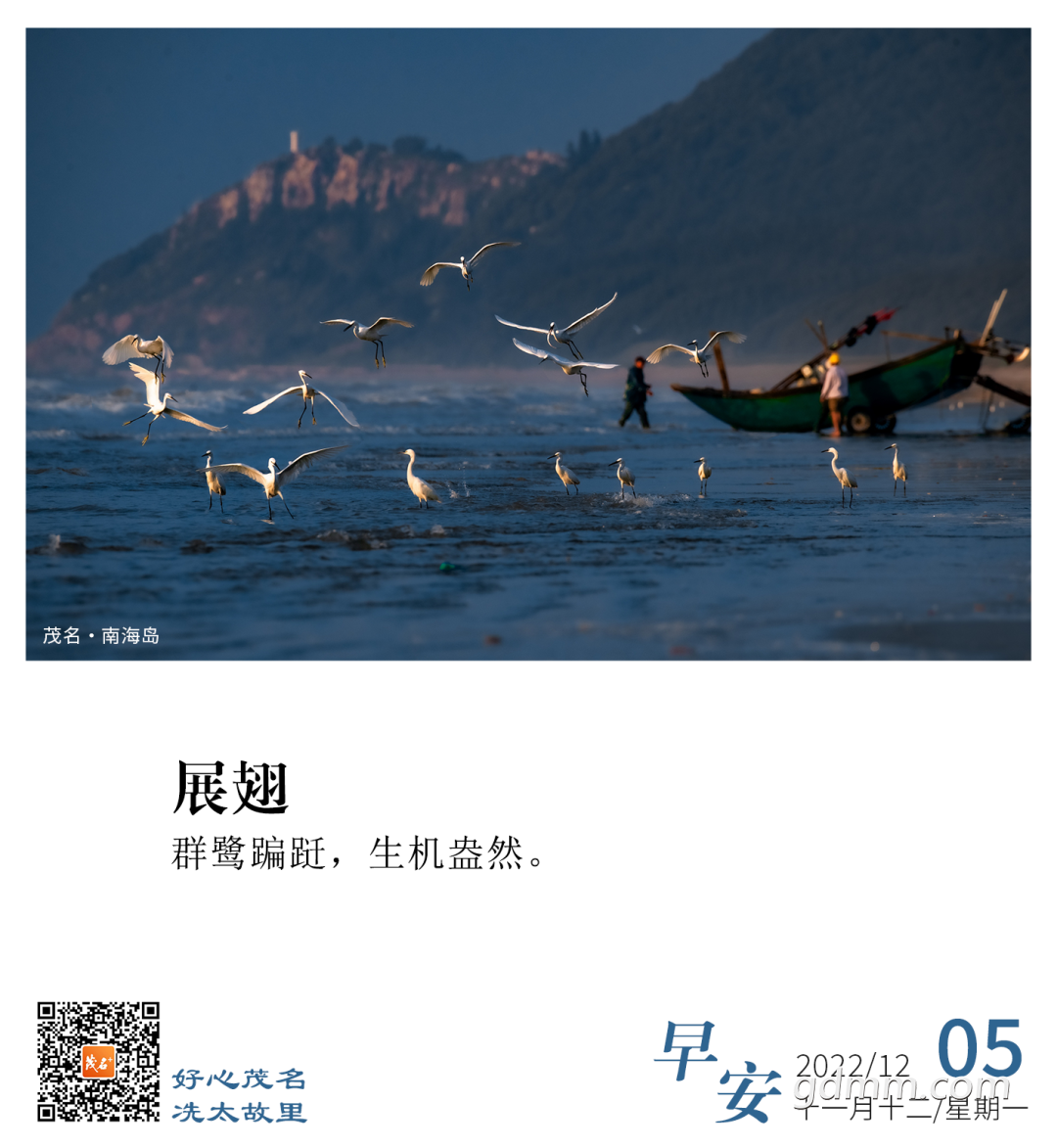 161850gauochyhbay1owza.png