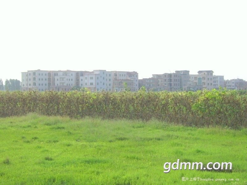 164316m26tpdykcyu5boby.jpg