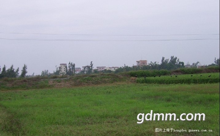 171301lsq4xlklz29zzq2a.jpg