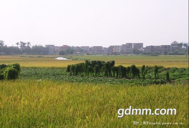 172102n7i75wddl87zuzd5.jpg