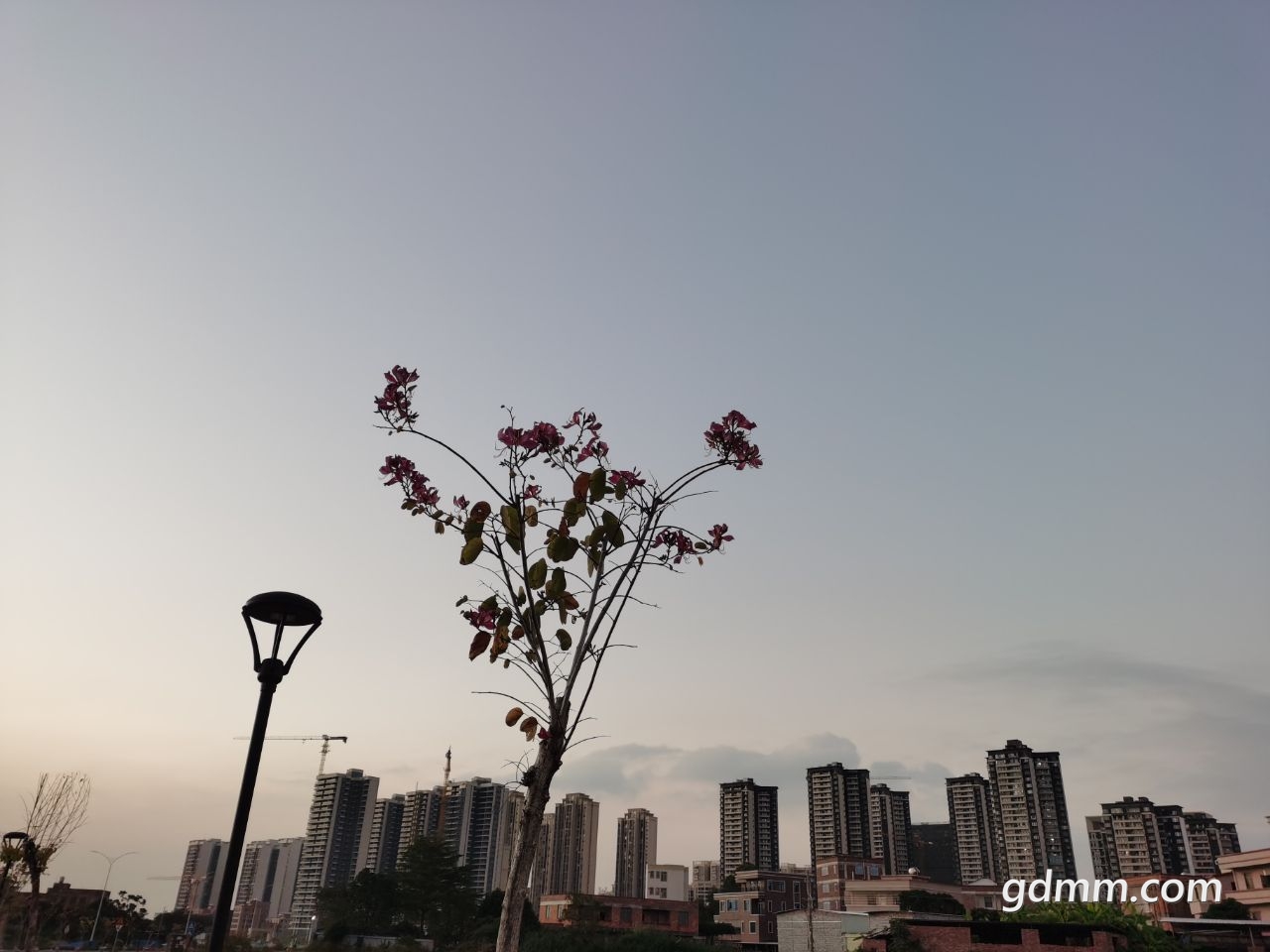 20221206204732front2_0_3212442_Fuj_aV6UbIMIM6063AGAptmA39UE.jpg