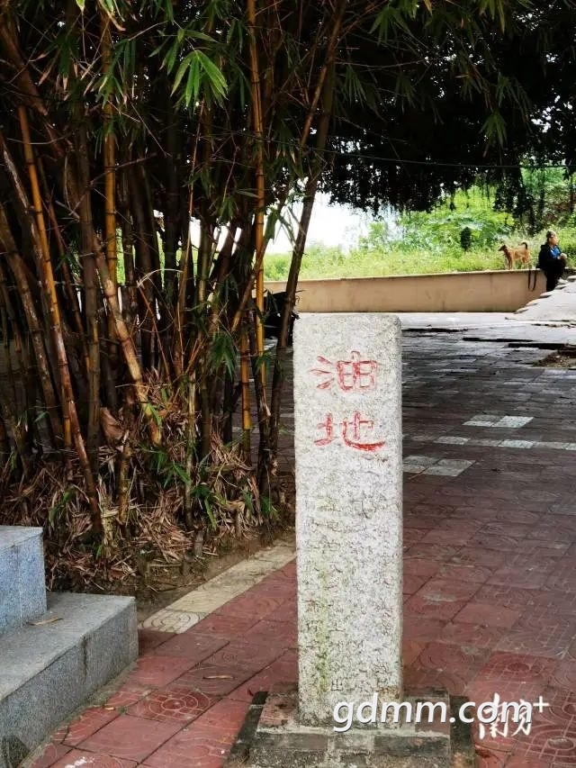 640 (7).jpeg