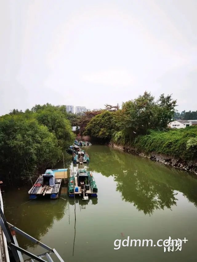 640 (4).jpeg