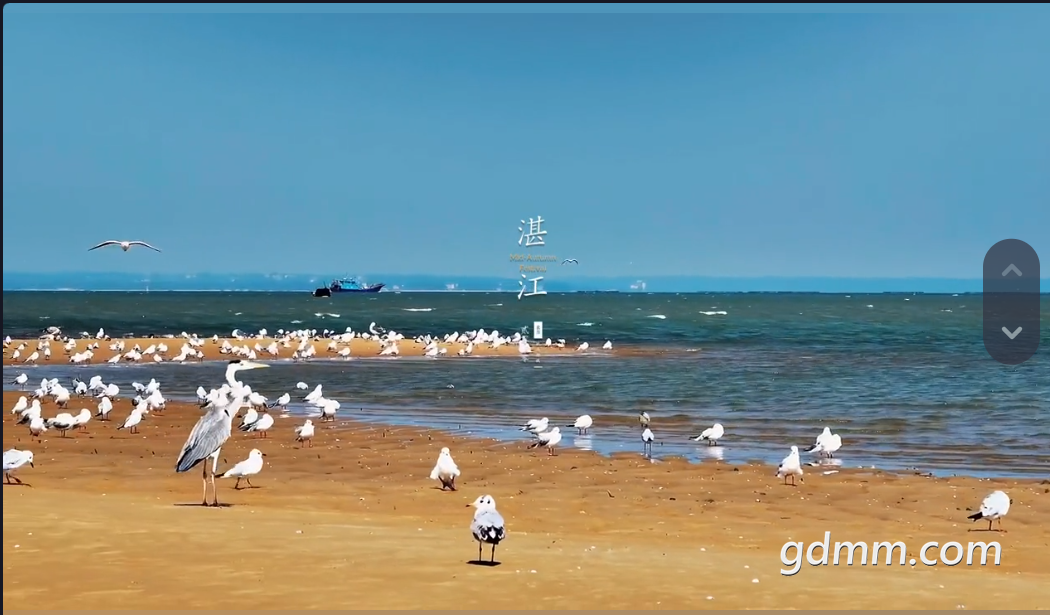 QQͼ20221221163918.png