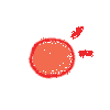 173038arckjc2cqqyjmjjj.gif
