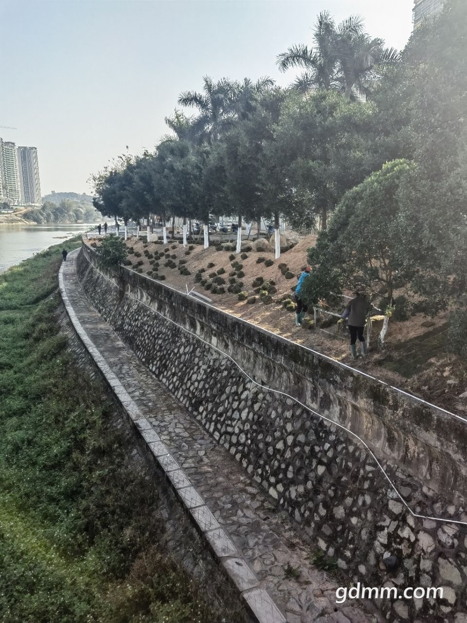 20221228100607front2_0_3377019_Fj6r2LPdBv66H7PpC4JPOd0E7V-2.jpg