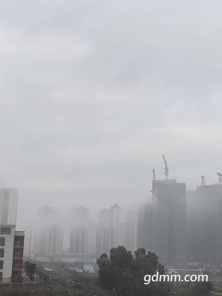 20230113080806front2_0_3344006_FrNu32tM6iPcyN4UJkKnfQIRIhri.jpg