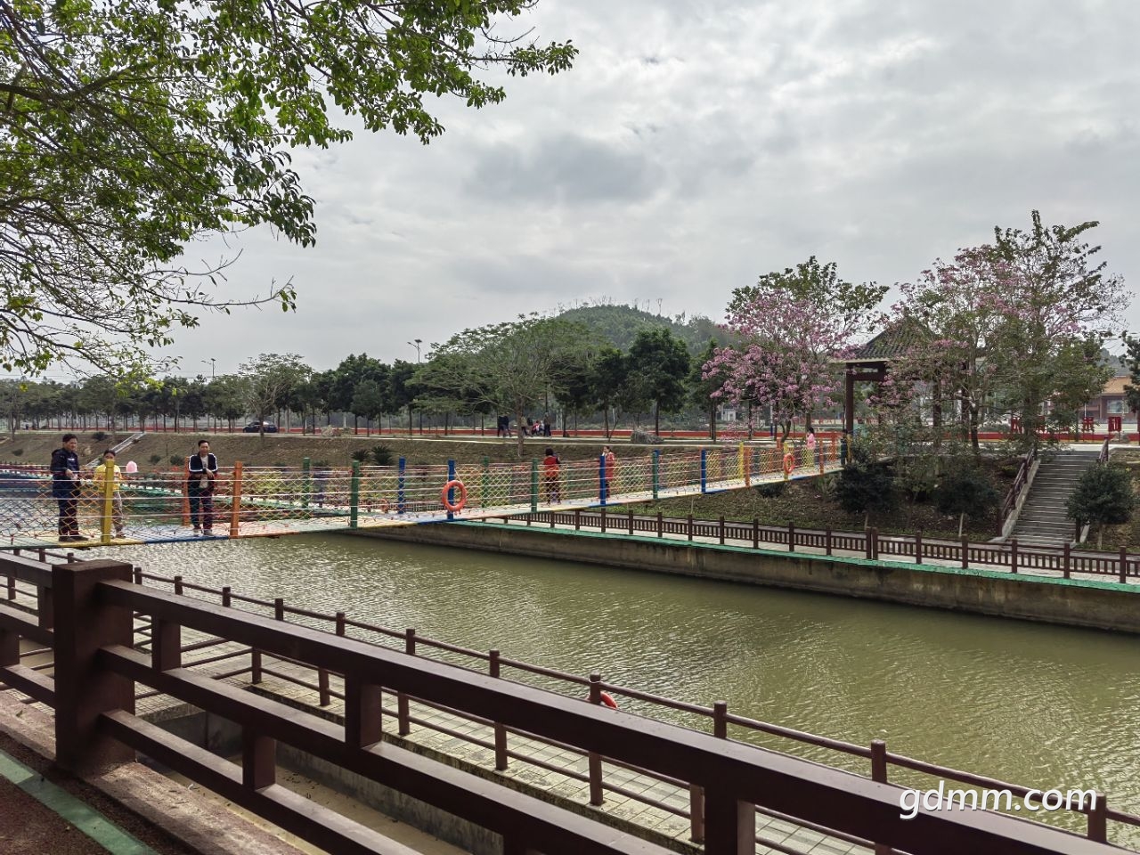 20230126121606front2_0_3377019_Fv12V3t0XWWCevwDDIHgKQ1sDM4S.jpg