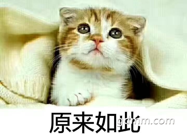 20230218125142front2_0_1982669_FhTXBjZsQyx65iRK0HsDhDVbRc9x.jpg