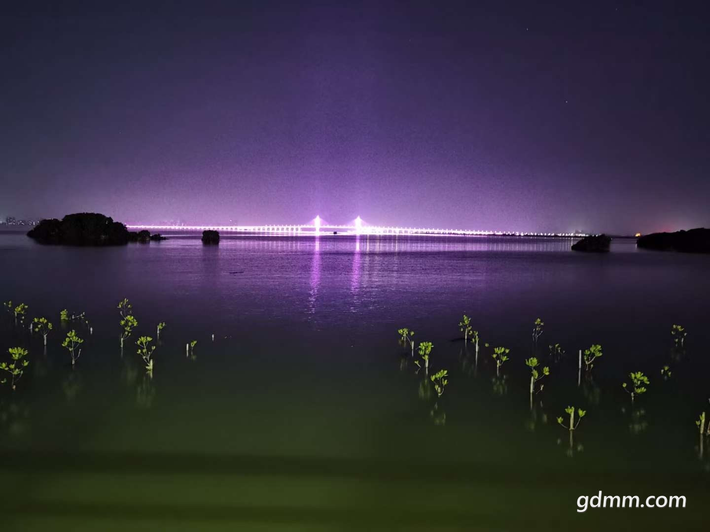 20230218232937front2_0_3212442_Fkx6hJBEKQ8JhwAmxIk-8Uitnegf.jpg