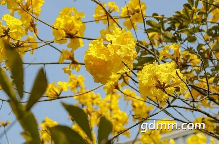u=1635341332,2450479452&fm=253&fmt=auto&app=138&f=JPEG.webp.jpg