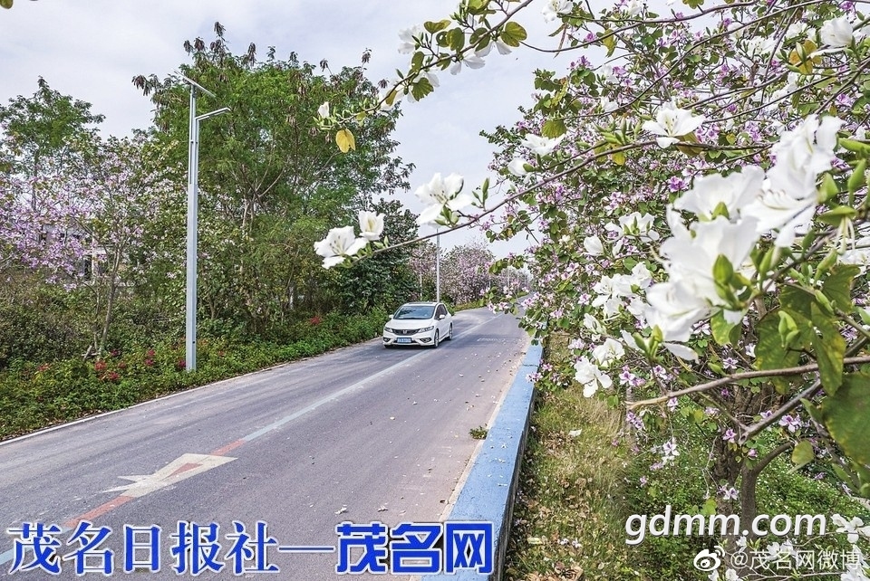 104621kzn5zsgg9jgok4p9.jpg