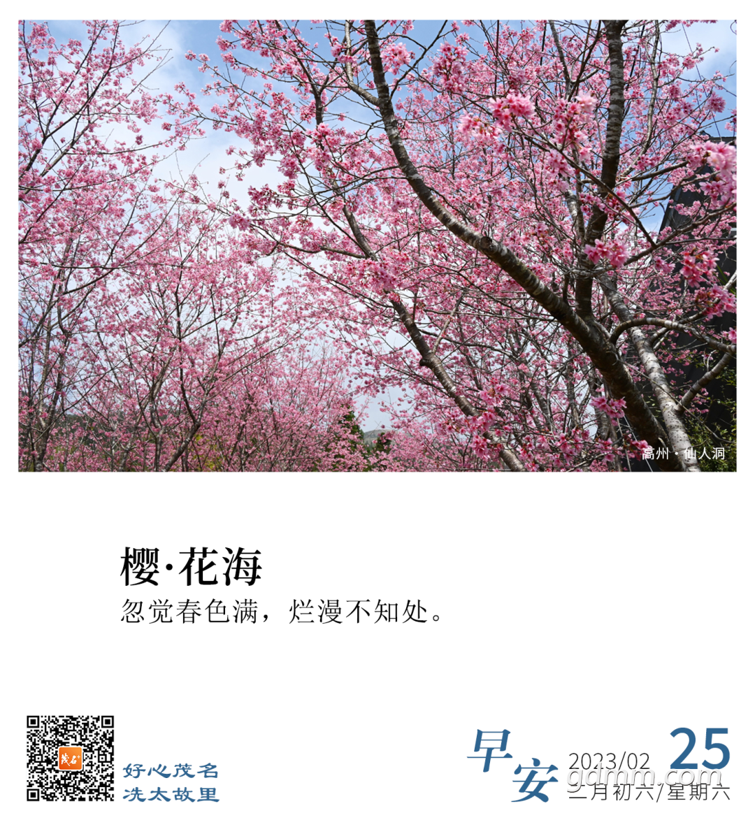105041faiqwkjjkpjrrztw.png