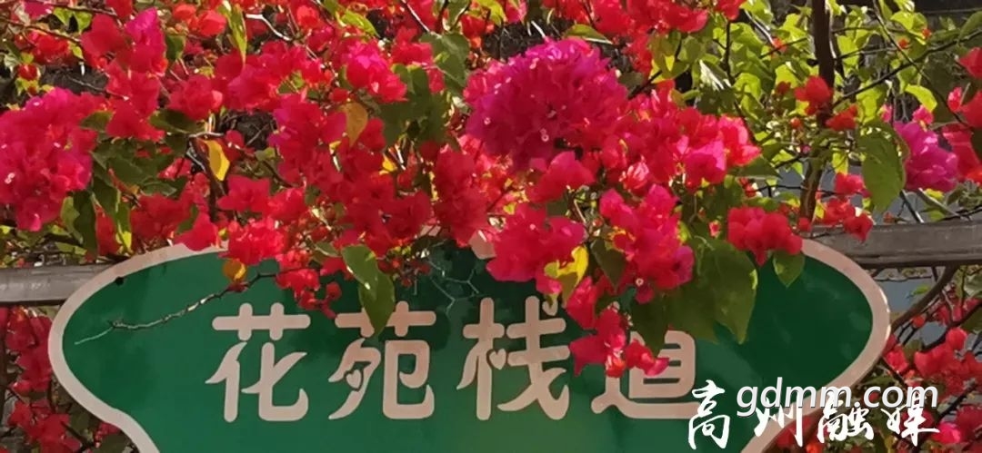 微信图片_20230225221223.jpg