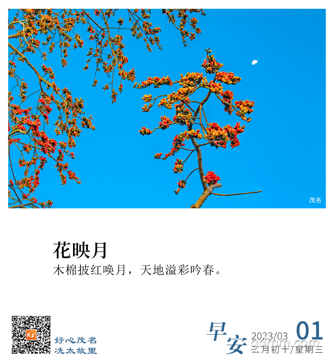 093041b9tv3nu7d13f86vf.png