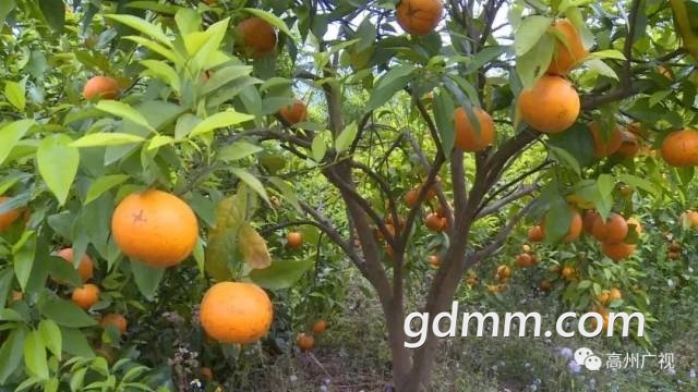be098940-8bbf-4461-80c9-fe351aa41095.jpeg