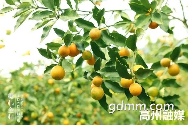 dd90886c-6768-4f3c-be41-0abb115bfd1c.jpeg