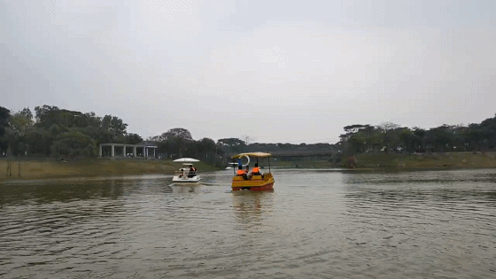 640 (2).gif