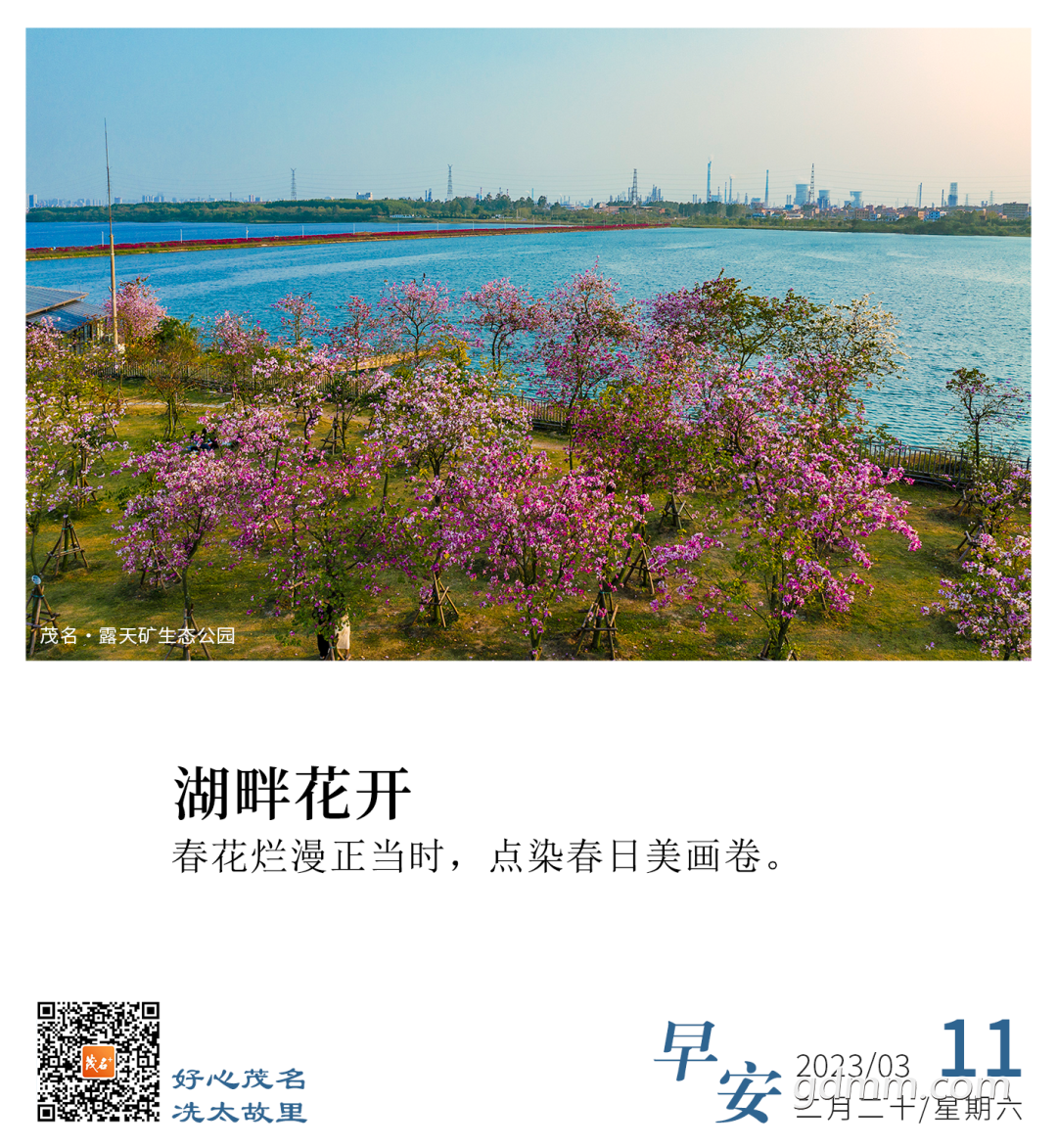173646mmh96p3mh1591dkg.png