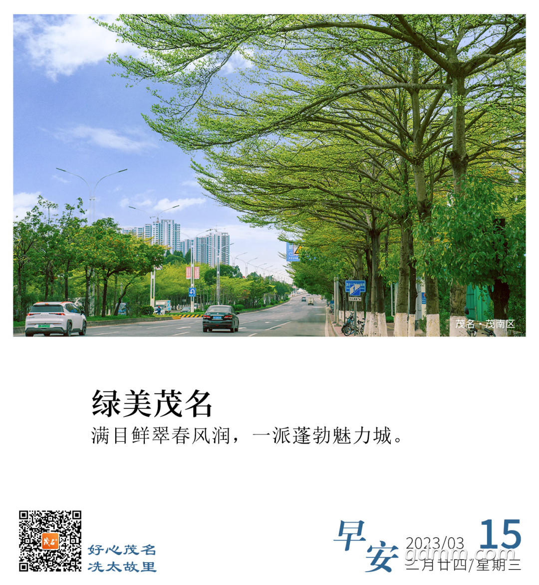 084313xu9psf0zslqc69n6.png