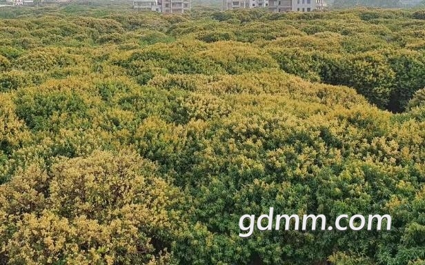 360ͼ20230320165809435.jpg