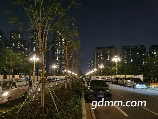 b21bb051f819861816a3c30745d1ea7a8ad4e616.webp.jpg