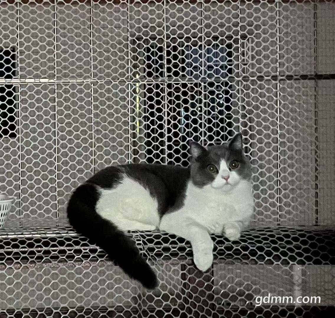 20230323065044front1_0_3383356_FlCjnbuHZxVduNFr2DEAR0PqjtM0.jpg