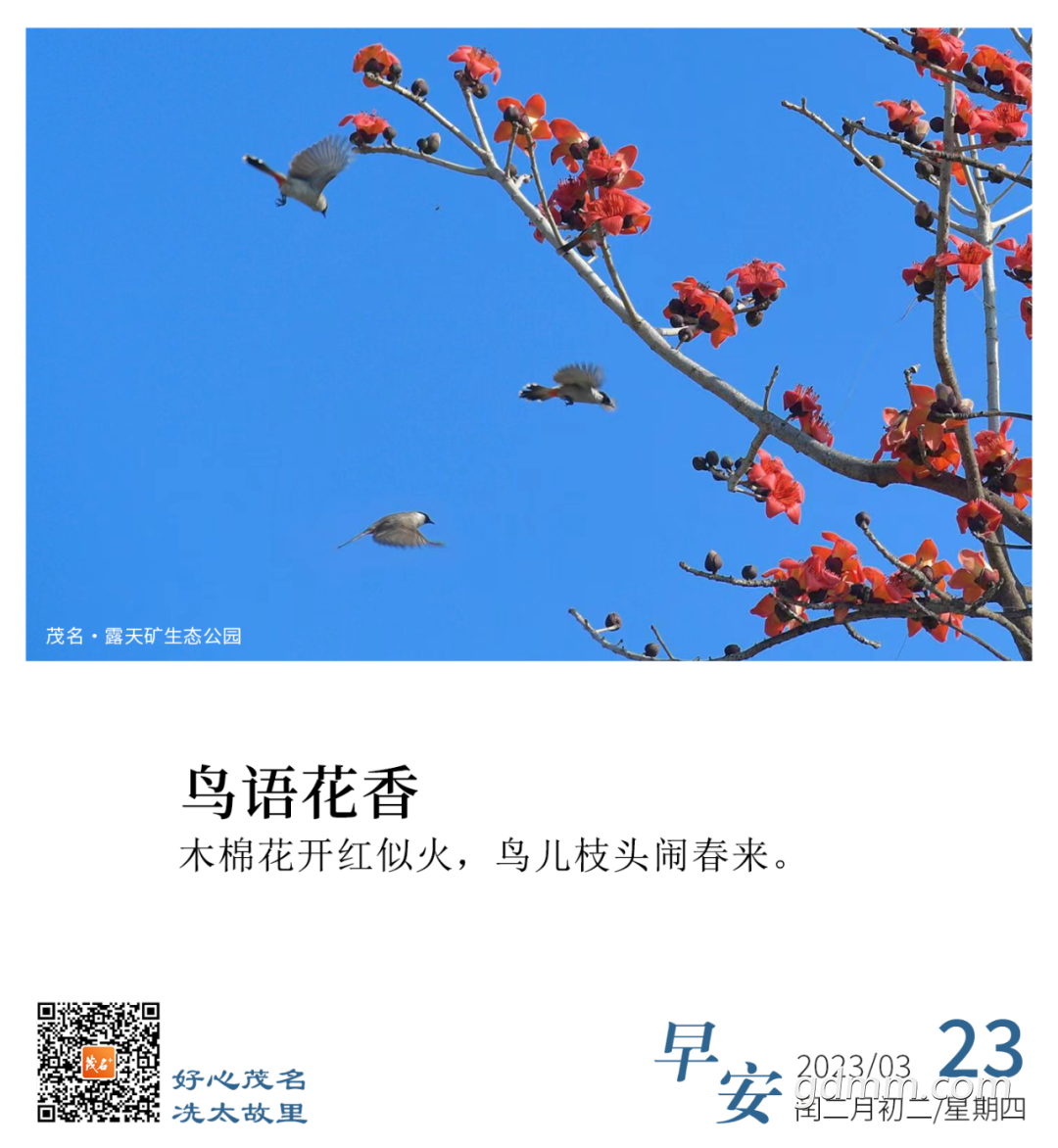 121828js9zp191mvh091sc.png