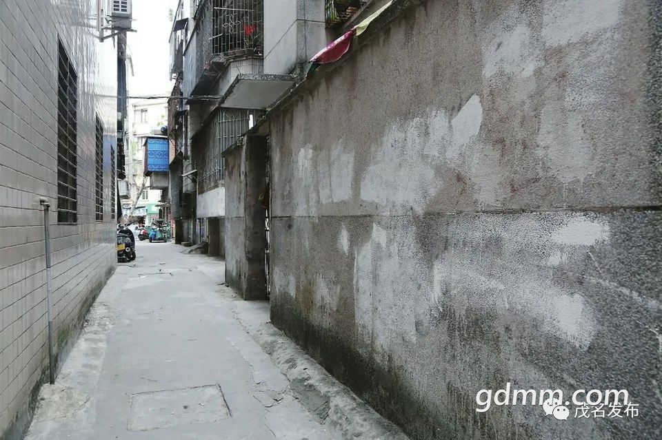 122016hk7hcstamm7c77dn.jpeg