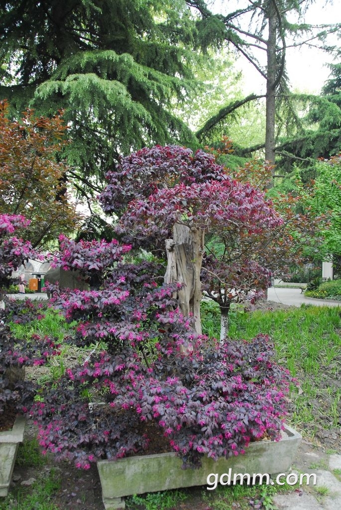 55.jpg