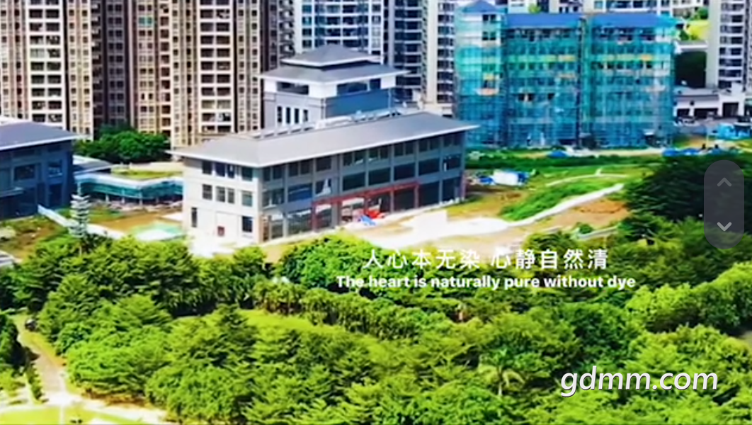 QQͼ20230324224433.png