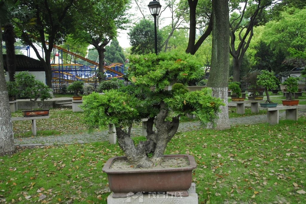 62.jpg