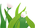 170034b0vb1vlyv8fsfsfb.png