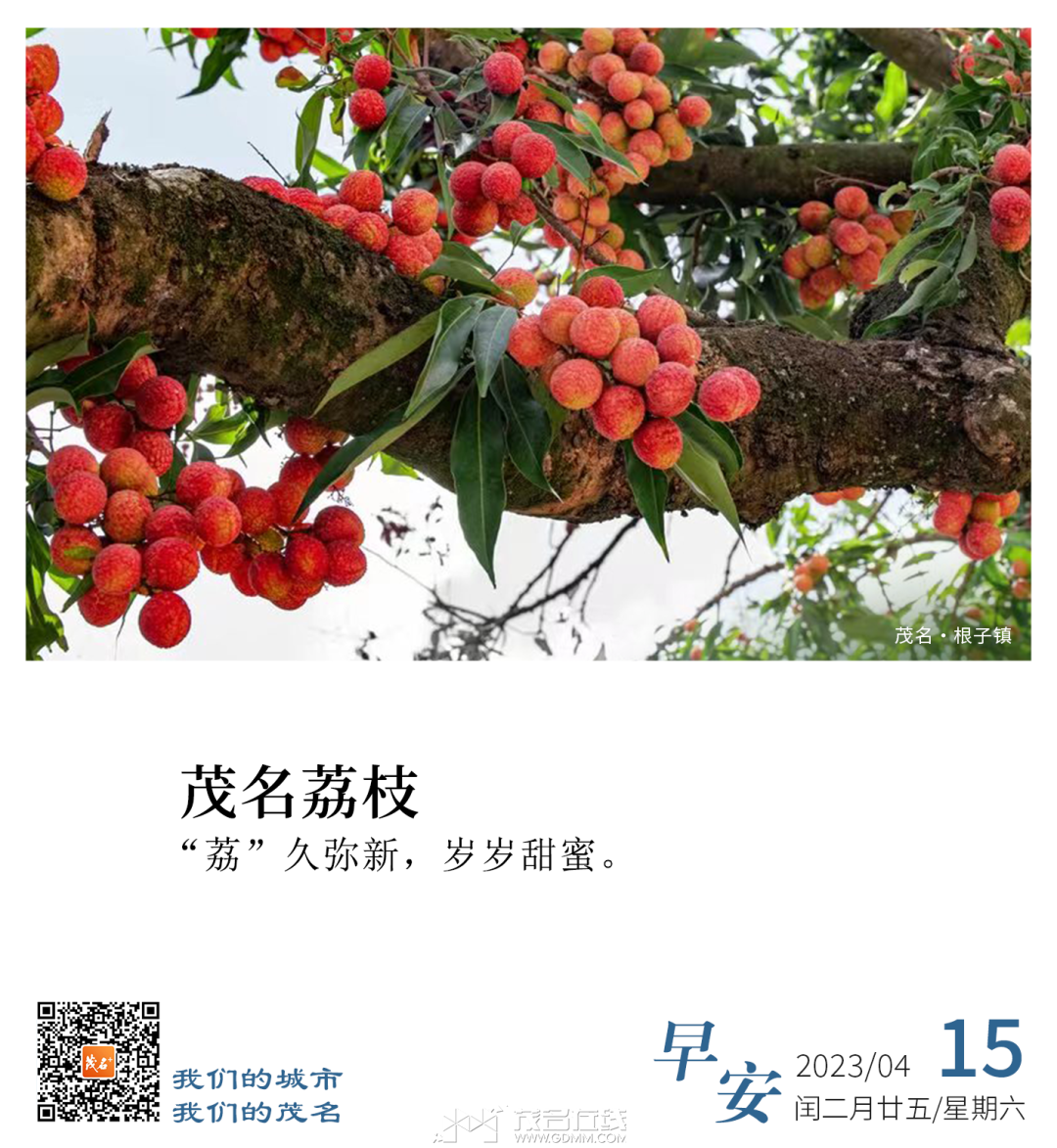085115t2mb9wim6ijf60y2.png