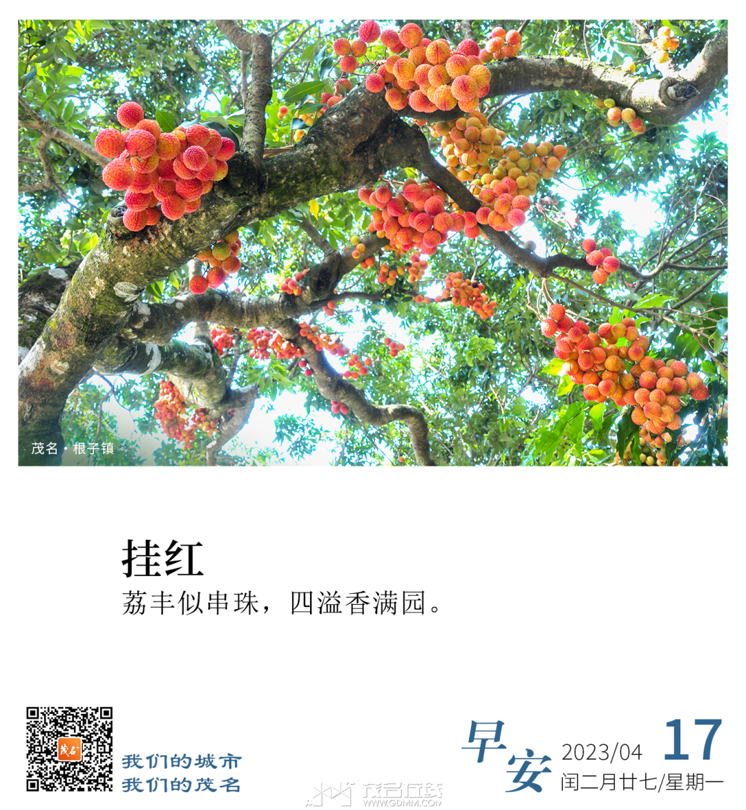 093154d5nv3585nnnb3p7v.png