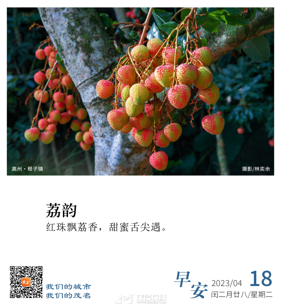 090811mc589a9xixxpae5g.png