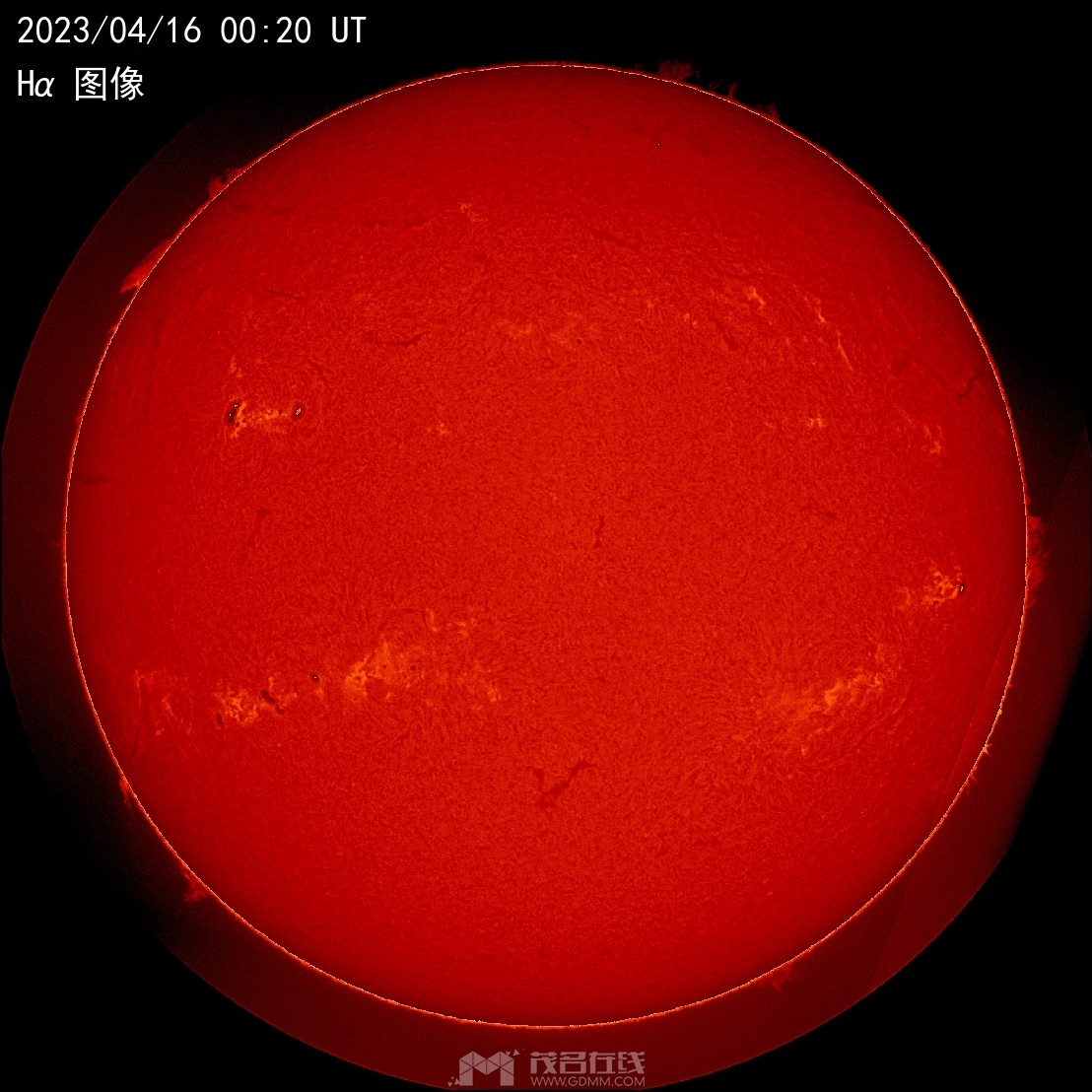 ca8cd1de-3e5b-4c78-bda1-e5bcce821821.png