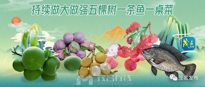w700d1q75cms (1).jpg