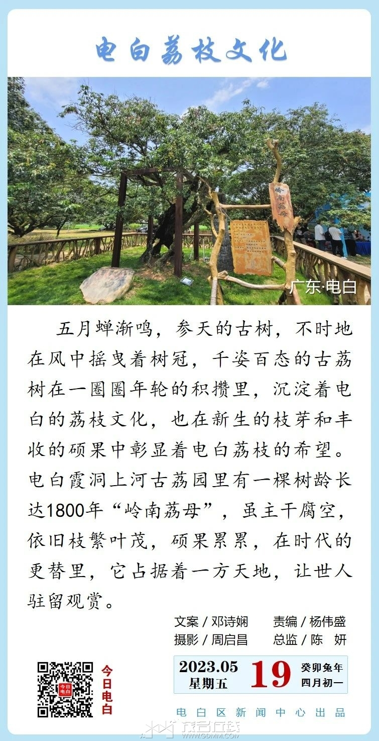 0.jpg