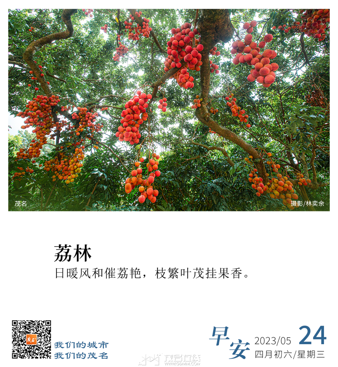 084615cll226qhmsomjlqd.png