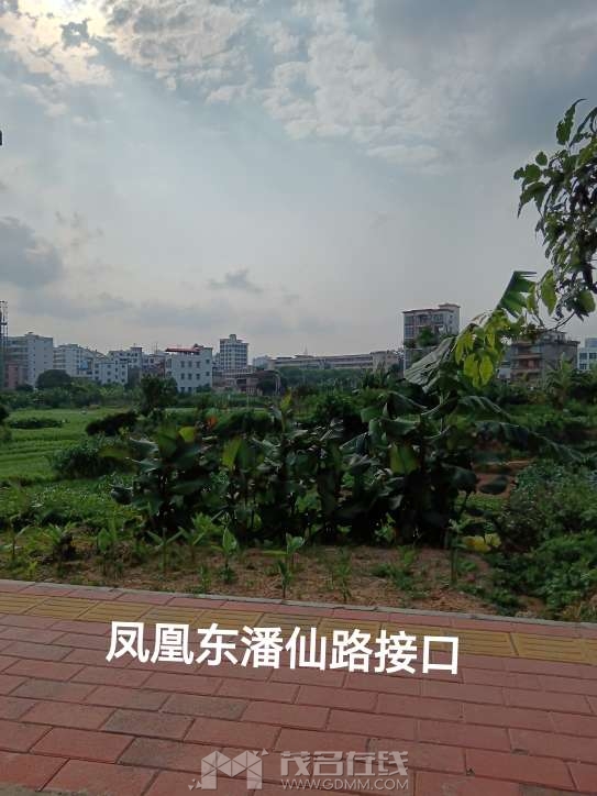 20230524175205front2_0_3257881_FtmrpDLDgtlsmY1-d_PS_aSoFDGx.jpg