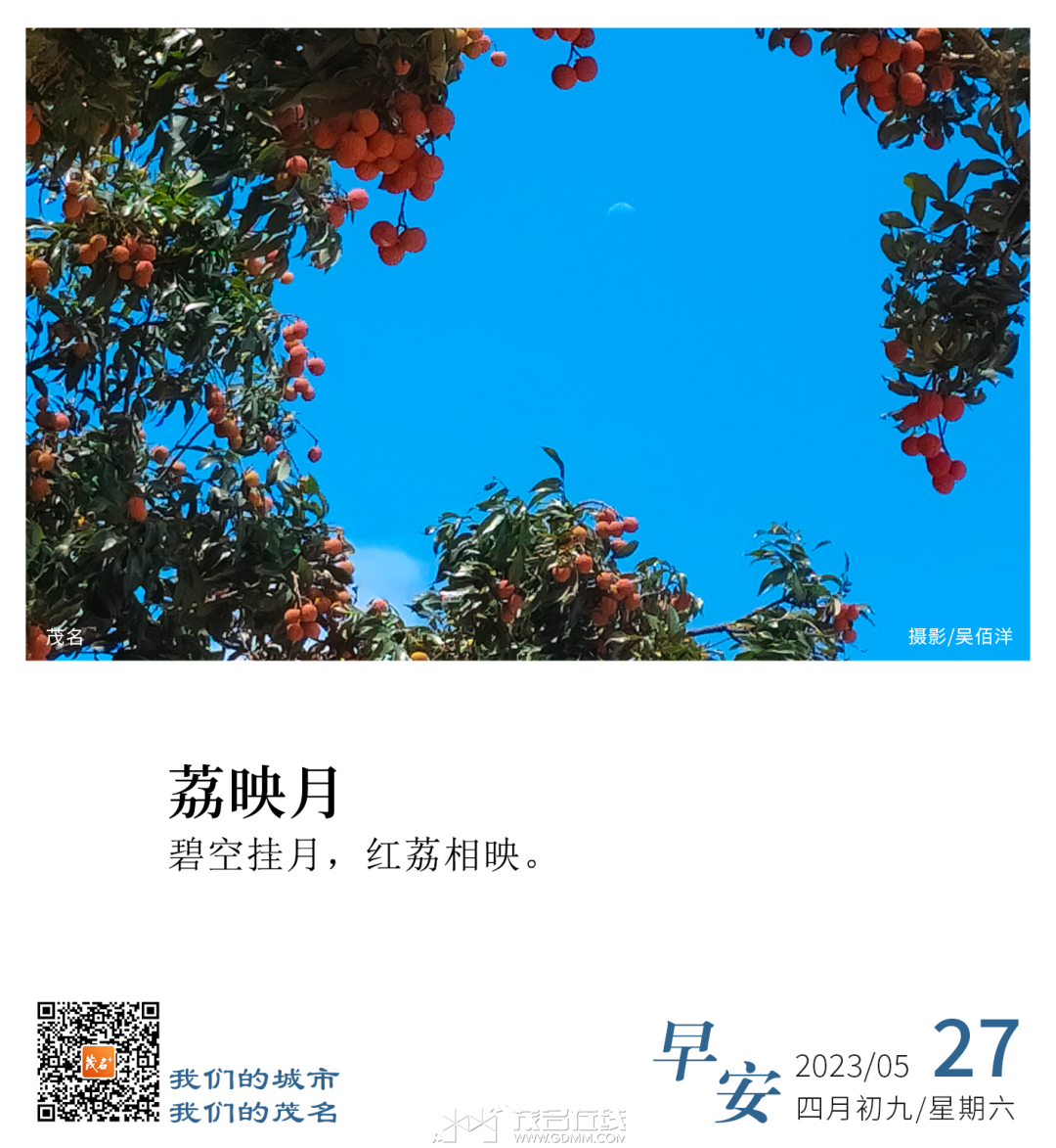 104713hh53o85y2oy45hyj.png