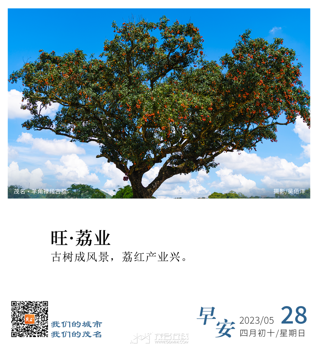 101720lx1xfozi6qox6jdi.png