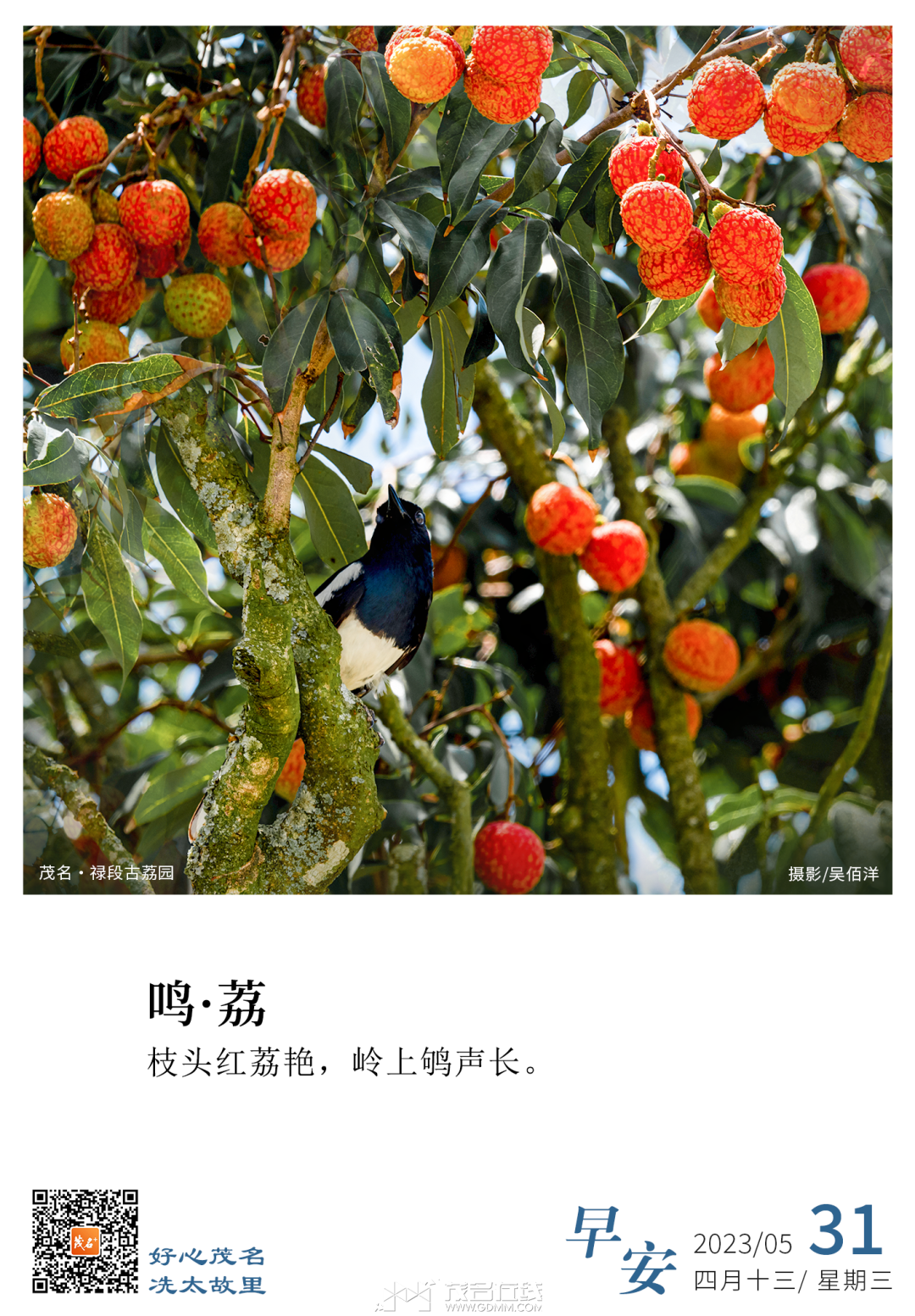 150924qsxa6zy7c81ccntx.png