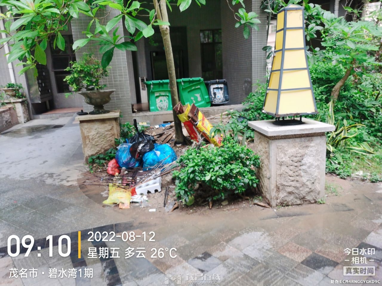 20230605005345front2_0_3257396_Fpj51mViShiJJT1g7y2F9nO43f40.jpg