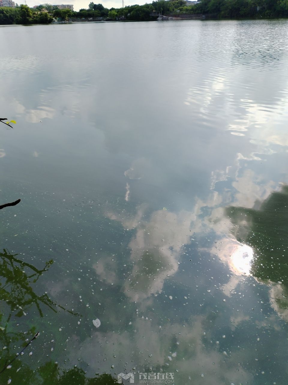 20230607101445front2_0_3276128_FgfLNabGlcgYteO_3YSpk7k0-n3V.jpg