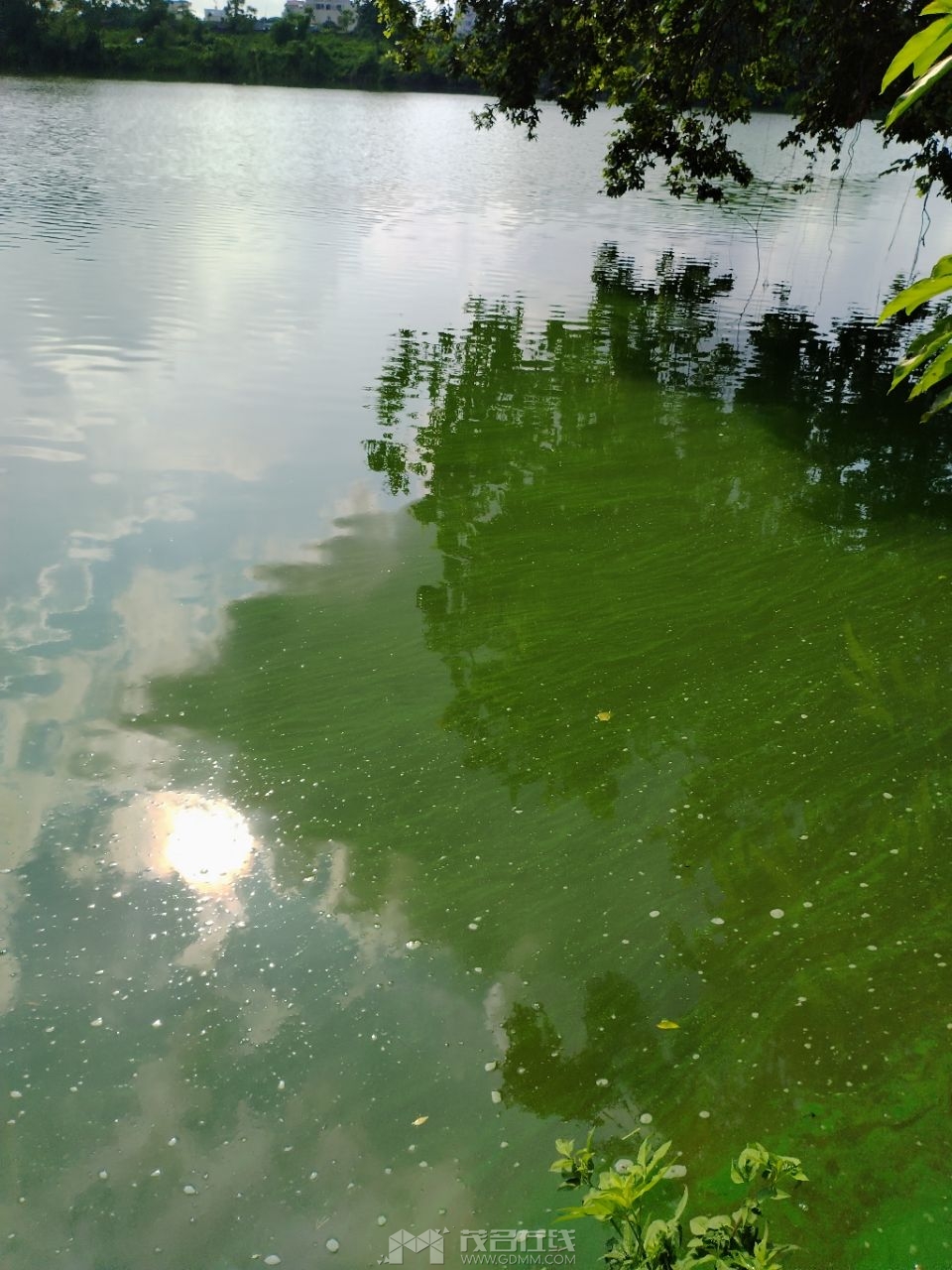 20230607101432front2_0_3276128_Fjw64B-kHyyq4DQPrRMoJUWhybca.jpg