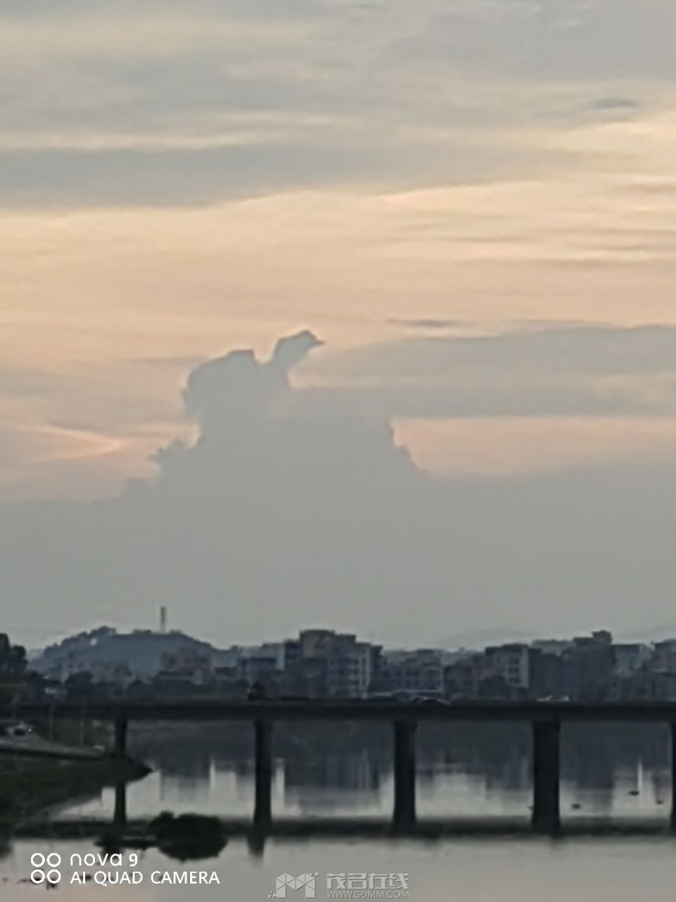 20230610190852front2_0_3377019_FufEKOOCTT3k5Y2JY4GsZYfRPTpU.jpg