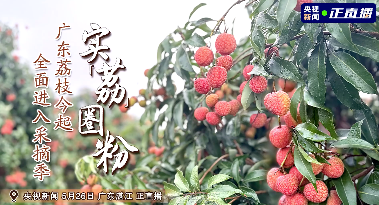 58b76b3b-b929-4cab-bad4-5ef19f6a63ca.png