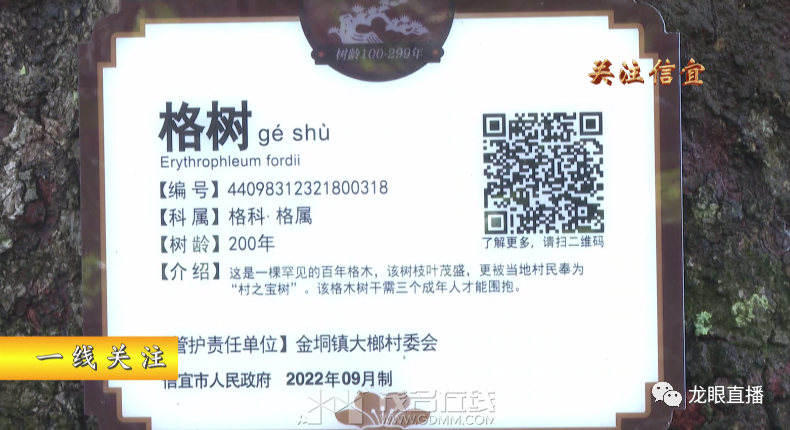 640 (8).png